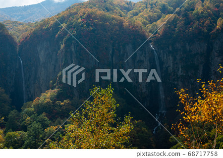 （長野縣）米子Daifufu秋葉 68717758