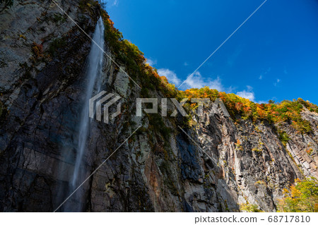 （長野縣）米子Daifufu秋葉 68717810