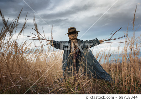 The scarecrow in the wheat field The scarecrow in the wheat field 68718344