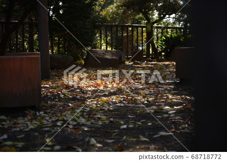 Tamagawadai Park in autumn colors, Ota-ku, Tokyo Tamagawadai Park in autumn colors, Ota-ku, Tokyo 68718772