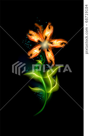 Glowing flower modern orange. Colorful ornamental Glowing flower modern orange. Colorful ornamental 68719184