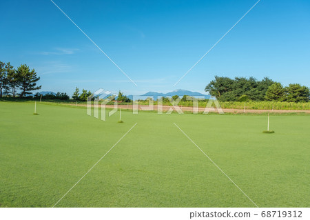 Tottori Shiba and Oyama 68719312