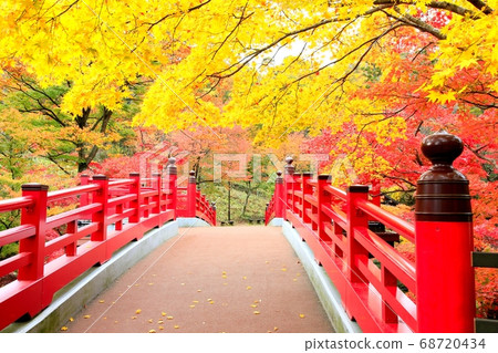 Autumn leaves of Yahiko Park Momiji Valley 68720434