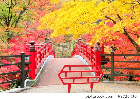 Yahiko公園Momiji谷秋葉 Yahiko公園Momiji谷秋葉 68720436