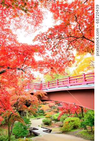 Autumn leaves of Yahiko Park Momiji Valley 68720439