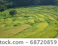 Beautiful terraced world Chiba 68720859