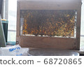  honeycomb 68720865