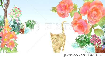 玫瑰園與一隻貓的手繪插圖 玫瑰園與一隻貓的手繪插圖 68721132