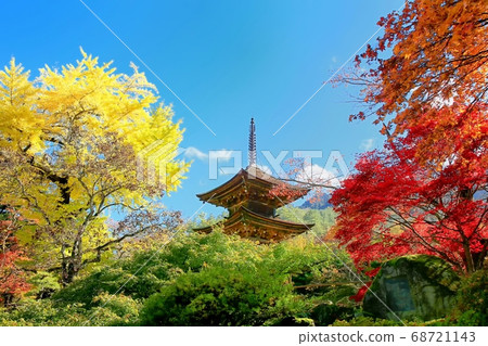 前山寺秋葉之靜美 前山寺秋葉之靜美 68721143