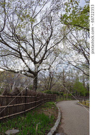 Early spring promenade where sprouts sprout Early spring promenade where sprouts sprout 68722353