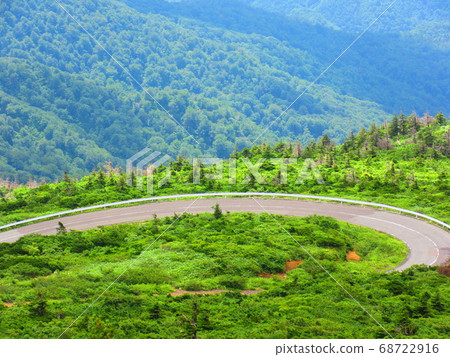 趙迴聲線 68722916