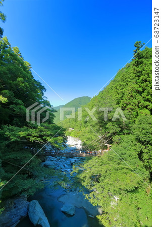 [德島]仲夏伊亞的一倉橋 68723147