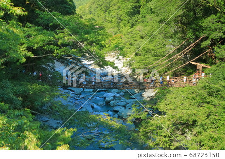 [Tokushima] Kazura Bridge in Iya in midsummer 68723150