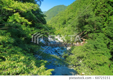 [Tokushima] Kazura Bridge in Iya in midsummer 68723151