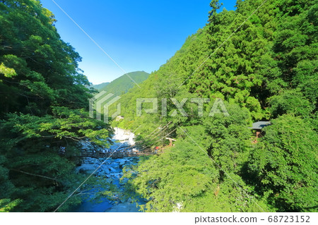 [Tokushima] Kazura Bridge in Iya in midsummer 68723152