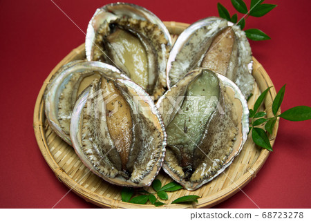 Abalone 68723278