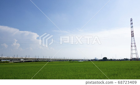 Rice field, sky and Tsukuba Express 68723409