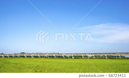 Rice field, sky and Tsukuba Express 68723411