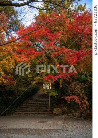 Ryoanji Temple Akiishidan 68723836