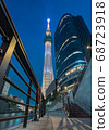 Sky tree  68723918