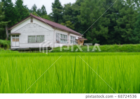 稻荷和學校大樓 68724536