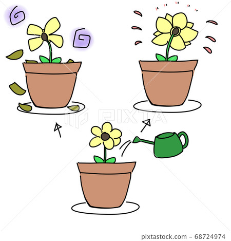 精力充沛的花朵和枯萎的花朵,花盆,噴壺,澆水 精力充沛的花朵和枯萎的花朵,花盆,噴壺,澆水 68724974