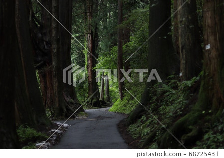 樹木環繞的一條路 樹木環繞的一條路 68725431