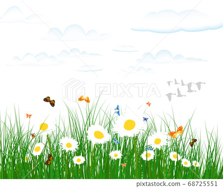 Summer meadow Summer meadow 68725551
