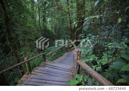 Doi inthanon peak in thailand, the highest mountain and forest in thailand Doi inthanon peak in thailand, the highest mountain and forest in thailand 68725640