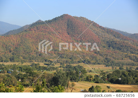 Satikhiri village in northern thailand: rural sense 68725656