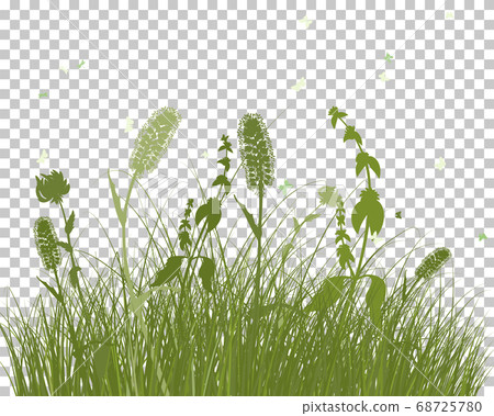 Summer meadow 68725780