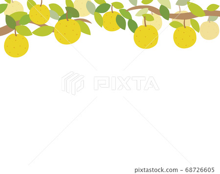 在梨框架上 68726605