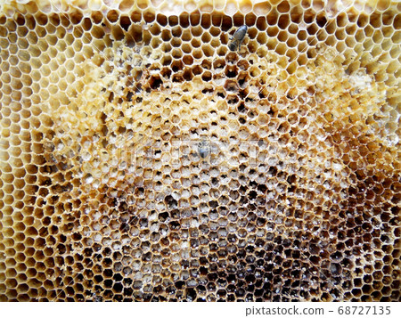 Background hexagon texture, wax honeycomb from a 68727135
