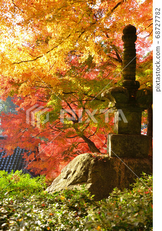 Daikozenji Temple wrapped in autumn colors Daikozenji Temple wrapped in autumn colors 68727782
