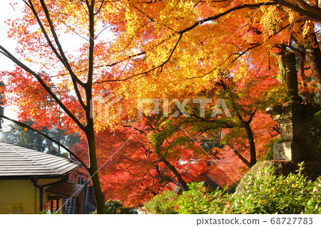 Daikozenji Temple wrapped in autumn colors Daikozenji Temple wrapped in autumn colors 68727783