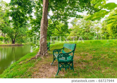 Park bench in public tree park Park bench in public tree park 68727944