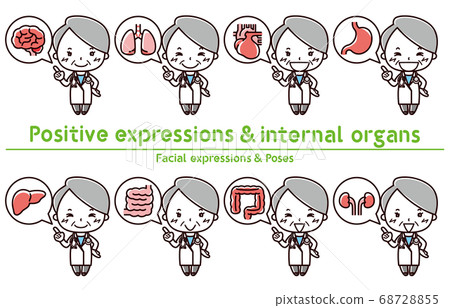 Positive expression / internal organs / female doctor Positive expression / internal organs / female doctor 68728855