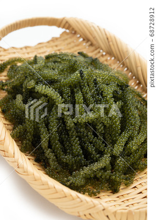 Okinawan ingredients sea grapes Okinawan ingredients sea grapes 68728912