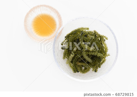 Okinawan ingredients sea grapes Okinawan ingredients sea grapes 68729815