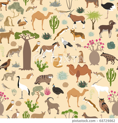 Desert biome, xeric shrubland biome, natural 68729862