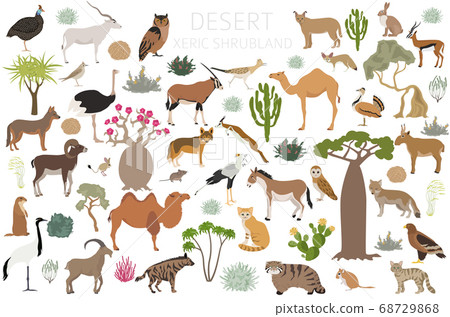 Desert biome, xeric shrubland natural region Desert biome, xeric shrubland natural region 68729868