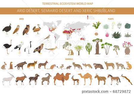 Desert biome, xeric shrubland natural region Desert biome, xeric shrubland natural region 68729872