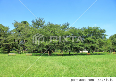 Koganei Park, Koganei City 68731910