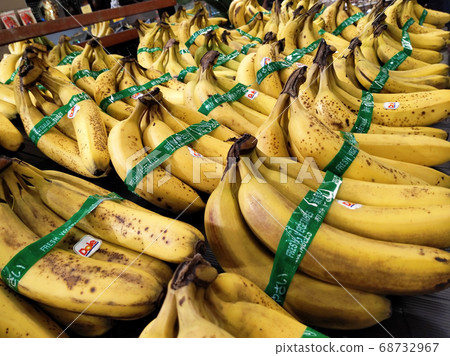 SEREMBAN, MALAYSIA -AUGUST 8, 2020: Bananas are being sold on the display table. It displays open at the market for sale to attract costumers. SEREMBAN, MALAYSIA -AUGUST 8, 2020: Bananas are being sold on the display table. It displays open at the market for sale to attract costumers. 68732967