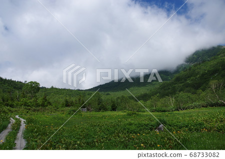 白馬的夏天 68733082