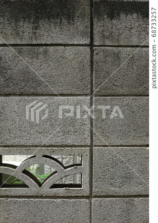 Moss on concrete in the garden 68733257