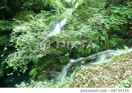 Yanogafuchi, Minami, Gifu Prefecture 68734139