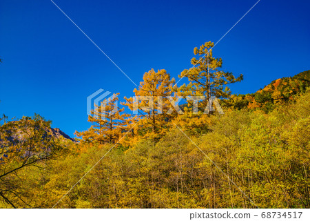 秋季,矢立岳(長野縣)上高地 秋季,矢立岳(長野縣)上高地 68734517