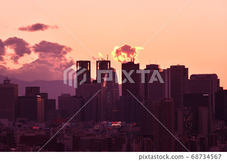 從文京區市民的富士山和新宿子中心的視圖 從文京區市民的富士山和新宿子中心的視圖 68734567