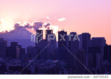 從文京區市民的富士山和新宿子中心的視圖 從文京區市民的富士山和新宿子中心的視圖 68734583